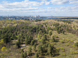 Forest in the city. Aerial drone view.