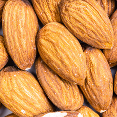 raw almond seeds close up