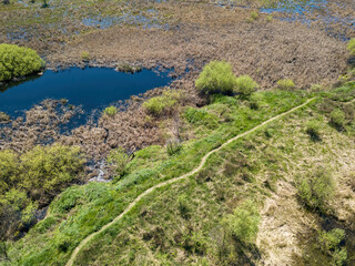 Fototapeta na wymiar River spill on a green meadow. Aerial drone view.