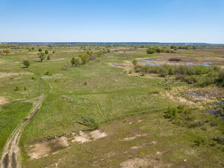 Fototapeta na wymiar Green meadows on the outskirts of the city in spring. Aerial drone view.