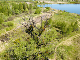 River bank in spring. Aerial drone view.
