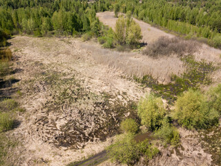 Flooded grass among the steppe. Aerial drone view.