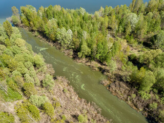 Fototapeta na wymiar The river among the trees. Aerial drone view.