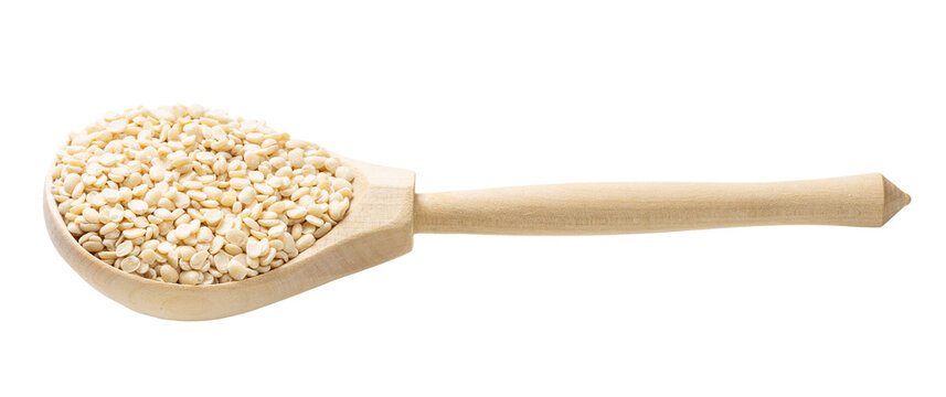 urad dal (split black gram) beans in wooden spoon