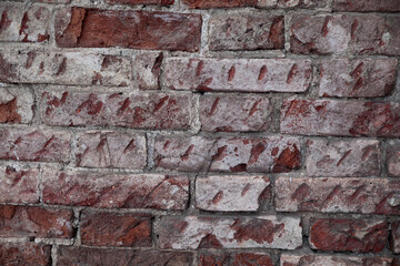 Naklejka premium old brick wall