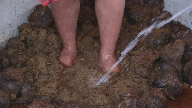 Close up worker legs trample pieces of elephant stool to mix together during process of paper production in Thailand.
