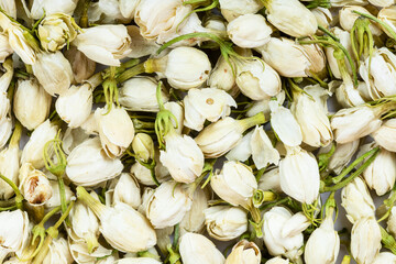 background - many dried jasmine flowers