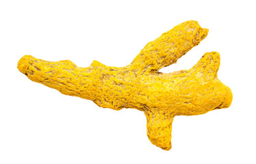 single root of Turmeric (Curcuma) isolated