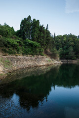 Obraz premium Lake and green trees in a beautiful morning spring.