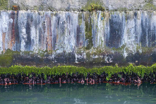 dirty mossy concrete surface, texture or background, old pier wall, © mustafaoncul