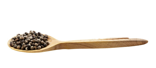 monk's pepper (vitex) in wooden spoon isolated