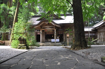 Fototapeta na wymiar 神社の境内ーprecincts of a shrine