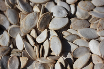sunflower seeds background