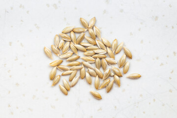several scagliola canary seeds close up on gray