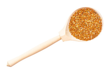 top view of chumiza siberian millet in wood spoon