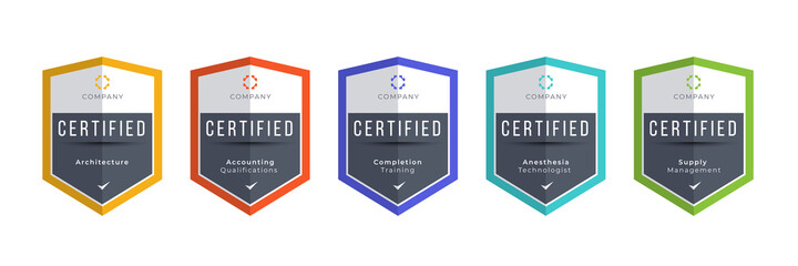 Certified logo badge. Criteria level digital certificate with shield logo line. vector illustration icon secure template. - obrazy, fototapety, plakaty