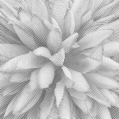 Black concentric lines that makes a flower. Halftone optical pattern. - 438458493
