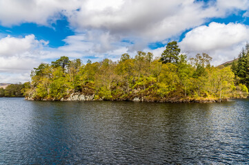 Obraz premium A view of an islets on Loch Katrine in the Scottish Highlands on a summers day