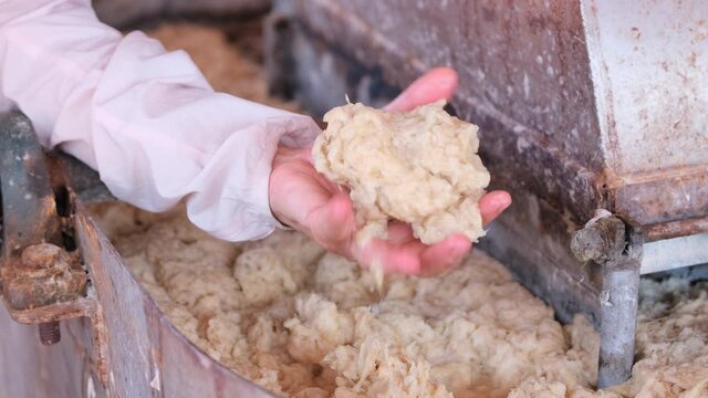 Close up woman hand hold paper tissue that are produced from elephant poop or stool. It looks natural and environment care product.