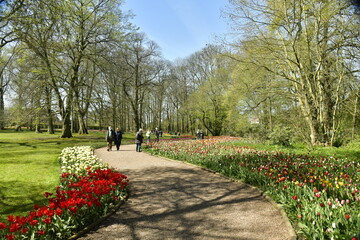 Promenade et admiration le long des parterres de tulipes au bois du château de Grand-Bigard à...