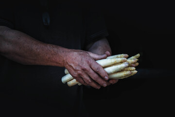 Main d'un homme qui tient des asperges blanche dans les mains, fond de la photographie noir