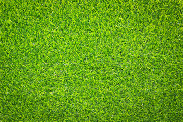 green grass background