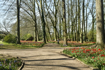 Chemin entre les parterres de tulipes dans le bois au domaine du château de Grand Bigard à l'ouest de Bruxelles