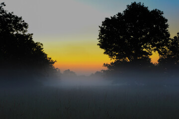 Fototapeta premium widoczna mgła przed wschodem