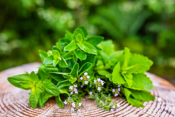 Fresh herbs on the table in the garden.