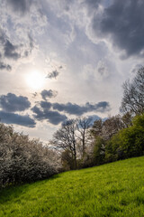 Obraz premium Country landscape in sunshine in Germany