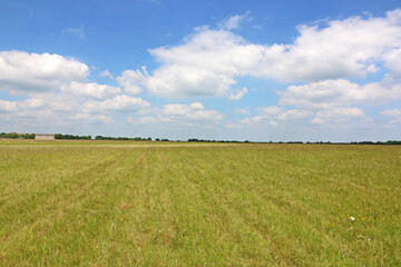 Grass field of an airfield in summer