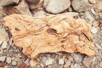 Drift wood texture swirls 