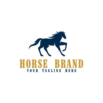 horse logo vector design logo template