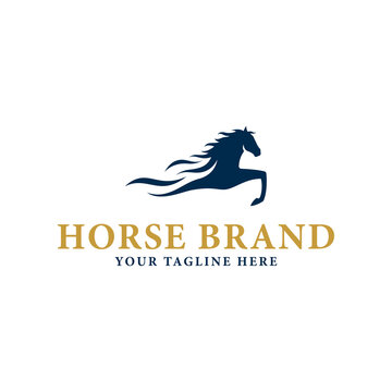 horse logo head vector design logo template