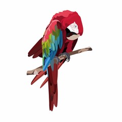 Realistic  beautiful exotic tropical bird: red macaw, parrot bird isolated on white background. © Iuliia