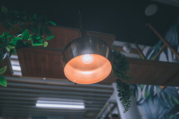 lamp hanging ceiling restaurant