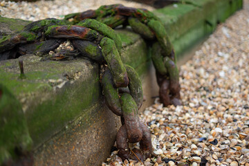 sea chains at the shore