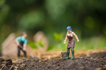 Farmer's agricultural harvesting concept in the garden. Simple living and farming for rural households. Miniature macro and blur background