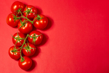 red organic tomatoes on a green branch on a red background