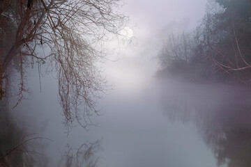 Obraz na płótnie Canvas Misty river in a full moon night