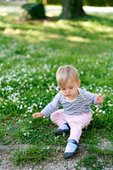 Kid sitting on a green lawn with daisies