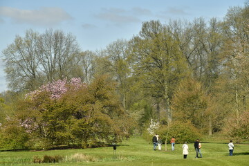 Promenade le long des buissons et arbres au début du printemps à l'arboretum de Wespelaar en Brabant flamand 