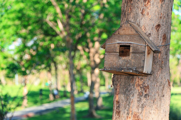 bird house on tree