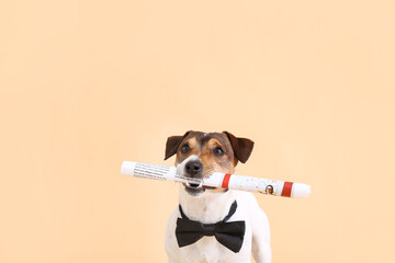 Cute dog with newspaper on color background