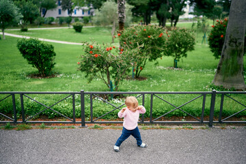 Little girl stands by the fence in front of flowering bushes