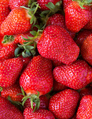 Close-up on ripe strawberry.