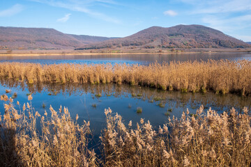 panorama of the lake of vico in lazio, province of viterbo - obrazy, fototapety, plakaty