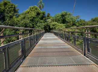 The wooden walkway over the river and into the jungle. View of the empty boardwalk into the green tropical forest in the Iguazu national park in Misiones, Argentina.