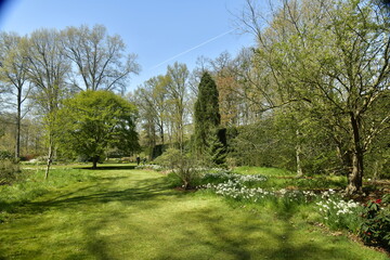 Fototapeta na wymiar Aménagement paysagère de variété de plantes et d'arbres à l'arboretum de Wespelaar 