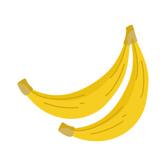 banana fruit fresh